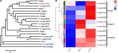 Highly Efficient Biotransformation of Phenolic Glycosides Using a Recombinant β-Glucosidase From White Rot Fungus Trametes trogii